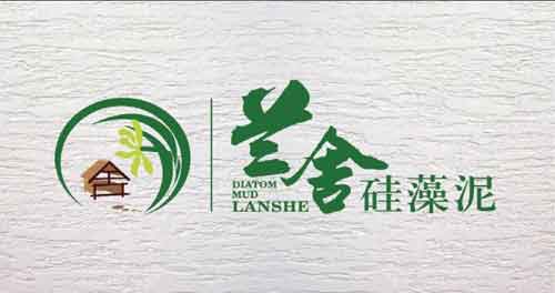 2016年中国十大硅藻泥超凡国际品牌名单