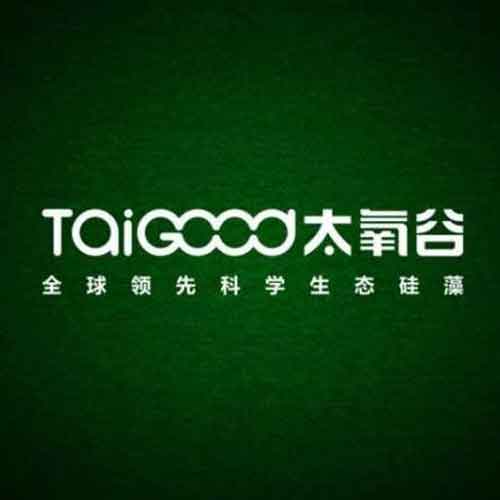 2016年中国十大硅藻泥超凡国际品牌名单