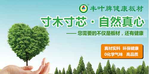 十大板材超凡国际品牌丰叶品质：寸木寸芯 自然真心