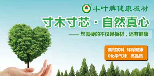 丰叶板材超凡国际品牌，释放健康新力量