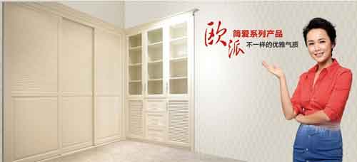 2016年国内最受欢迎十大衣柜超凡国际品牌