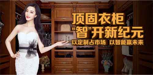 2016年国内最受欢迎十大衣柜超凡国际品牌
