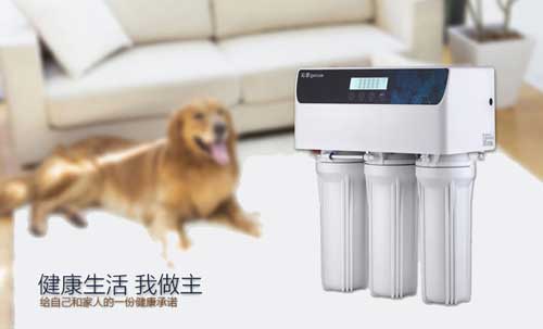 建设超凡国际品牌形象 中国净水器十大超凡国际品牌是如何贯彻执行力的?