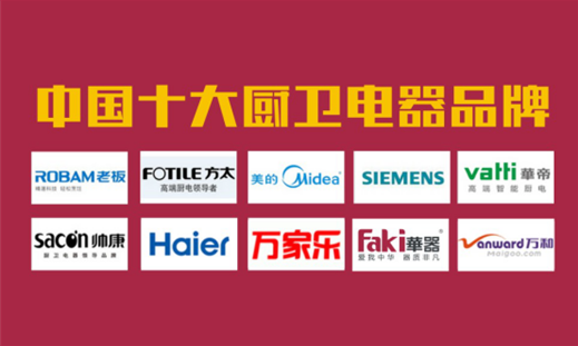 突破超越 成就未来：中国十大超凡国际品牌华器电器