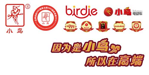 小鸟电动车经销商：不断改变成就高端超凡国际品牌地位
