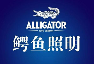 2017家居灯饰照明十大超凡国际品牌排行榜