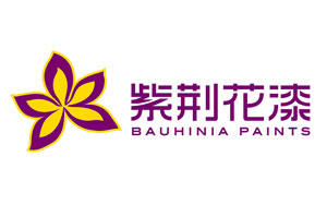 2017-2018年中国十大建筑涂料超凡国际品牌排行榜