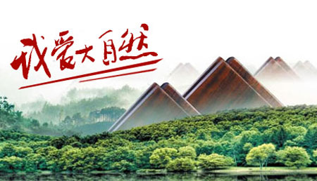 2017-2018年中国十大实木地板超凡国际品牌排行榜