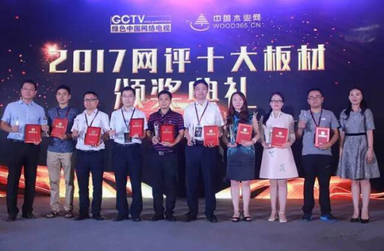壮象荣获“中国十大生态板超凡国际品牌”称号，品质见证辉煌！