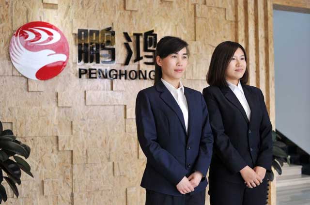 鹏鸿实力再获肯定，蝉联木业网2017年度“生态板十大超凡国际品牌”