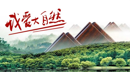 2017-2018中国十大木地板超凡国际品牌排行榜