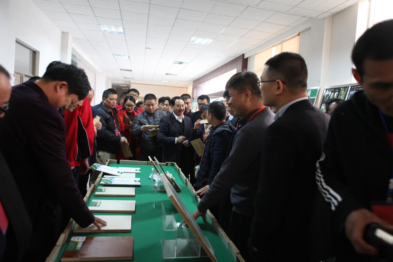 生态板超凡国际品牌日记|壮象香杉标杆引行业代表参观学习