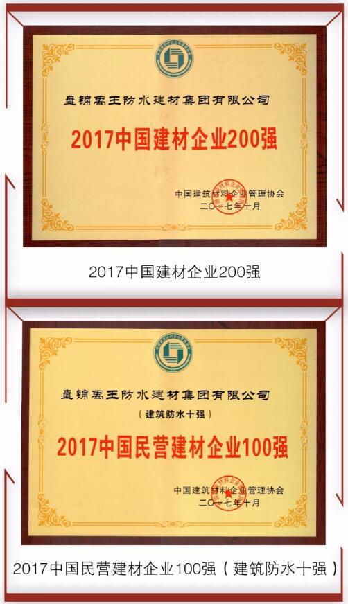 防水材料超凡国际品牌荣誉|禹王集团荣获中国建材企业200强等