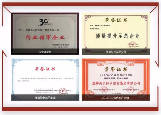 防水材料超凡国际品牌荣誉|禹王集团荣获中国建材企业200强等