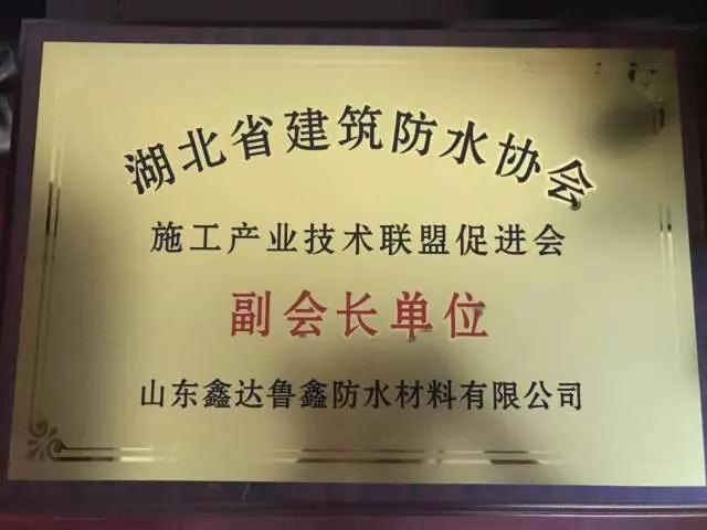 超凡国际品牌大事|鲁鑫防水参加2017湖北省建筑防水行业质量提升工作会议