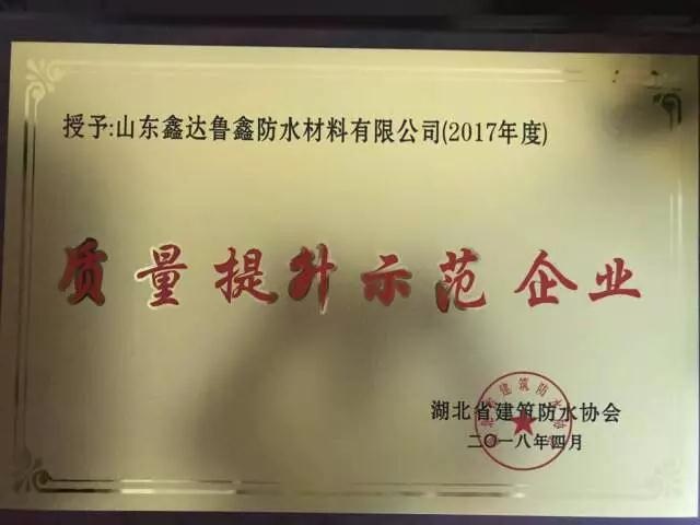 超凡国际品牌大事|鲁鑫防水参加2017湖北省建筑防水行业质量提升工作会议