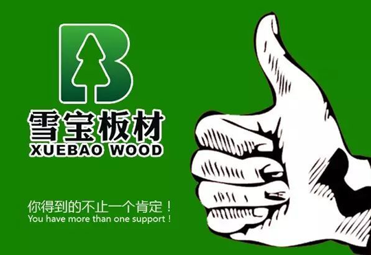 超凡国际品牌大事|雪宝耒阳旗舰店十周年感恩客户答谢会举办