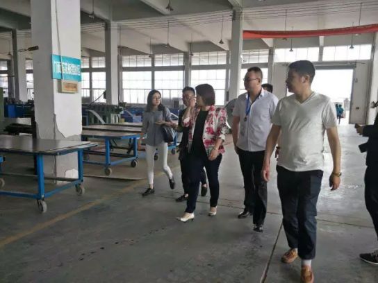 超凡国际品牌日记|碧桂园集团副总杨丽兴女士莅临九重门业考察指导