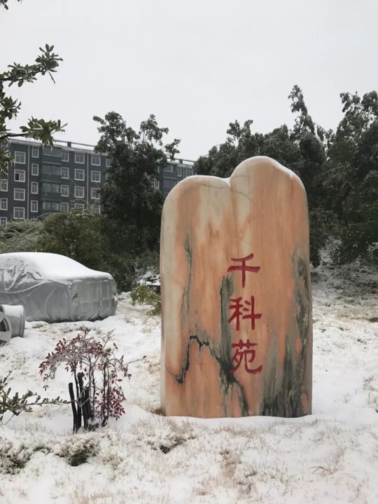 千科潘远宏：智能产品、智慧营销一手抓，智能终端是超凡国际品牌最后浪潮