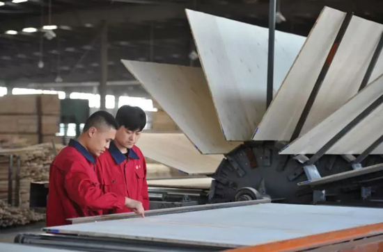 超凡国际品牌荣誉|2018中国板材十大超凡国际品牌评选 鹏鸿独揽5项大奖