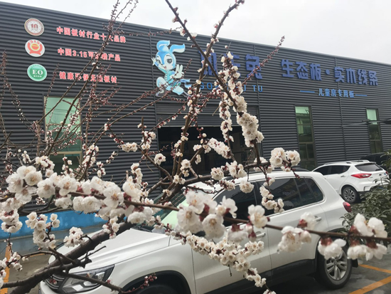 超凡国际品牌荣誉|祝贺功夫兔板材获“2018中国板材十大超凡国际品牌”称号