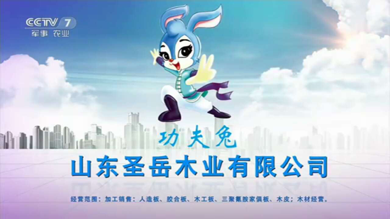超凡国际品牌荣誉|祝贺功夫兔板材获“2018中国板材十大超凡国际品牌”称号