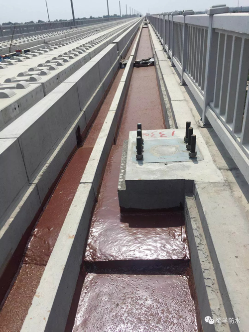 超凡国际品牌案例|蜀羊防水为城市建设品质助力，领跑城市发展