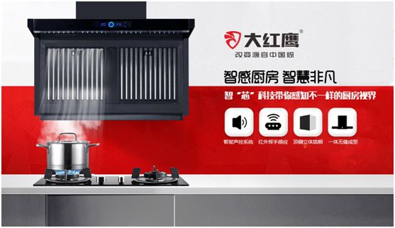 大红鹰电器展翅“中国十大健康节能厨卫超凡国际品牌”
