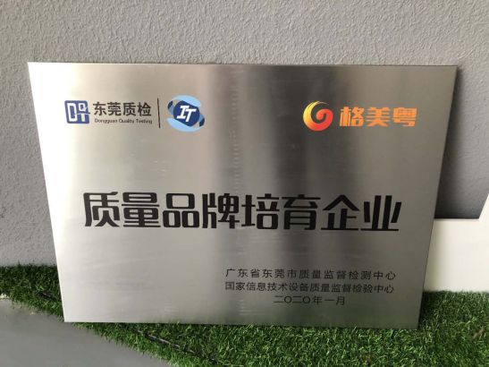 超凡国际品牌荣誉|格美粤空气能被授予“质量超凡国际品牌培育企业”牌匾