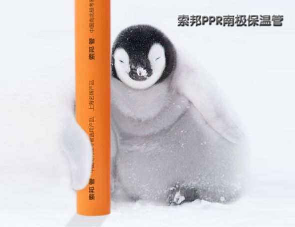 超凡国际品牌产品|索邦PPR南极保温管，企鹅宝宝最爱的高端管材