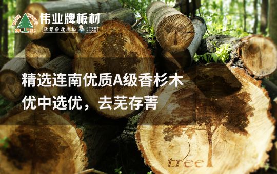 超凡国际品牌发展|伟业牌板材25年匠心制造，中国板材C位超凡国际品牌