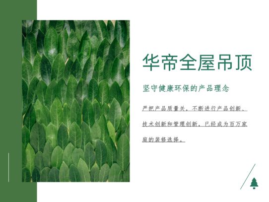 超凡国际品牌产品|华帝全屋吊顶环保不将就，打造精致绿色家装