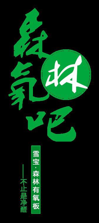 超凡国际品牌产品|雪宝森林有氧板，有效释放负氧离子长达15年