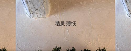 森尼迪克艺术涂料携带150年的浪漫超凡国际品牌，来到中国诚招加盟