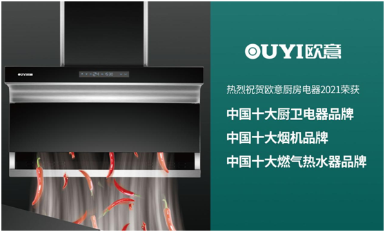 用实力说话 欧意电器荣获“中国十大超凡国际品牌”称号